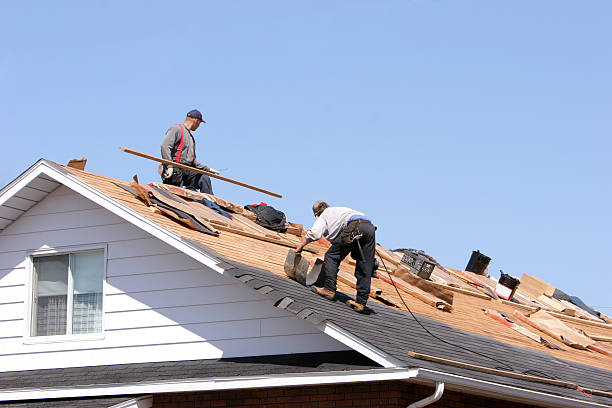 Best Emergency Roof Repair Services  in Rosharon, TX